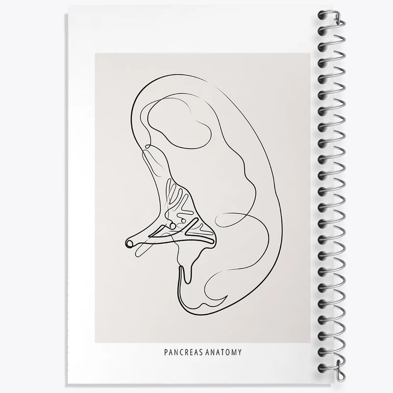 دفتر لیست خرید 50 برگ خندالو طرح آناتومی پانکراس (Pancreas Anatomy) کد F13902