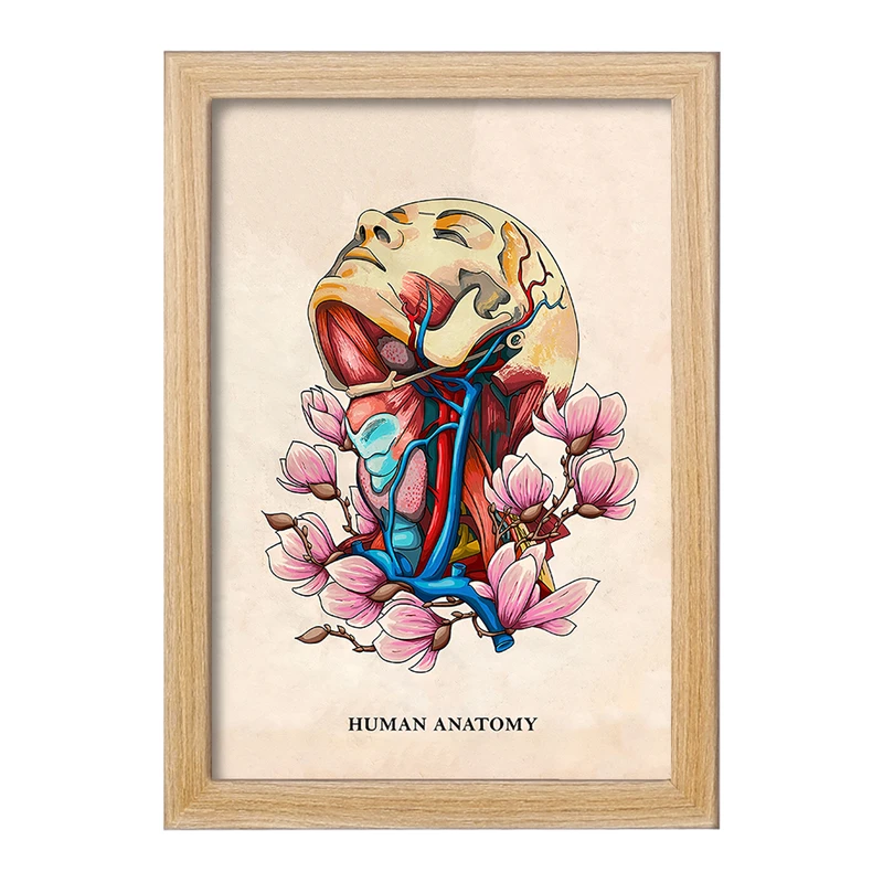 تابلو خندالو طرح آناتومی انسان (Human Anatomy) کد F14017