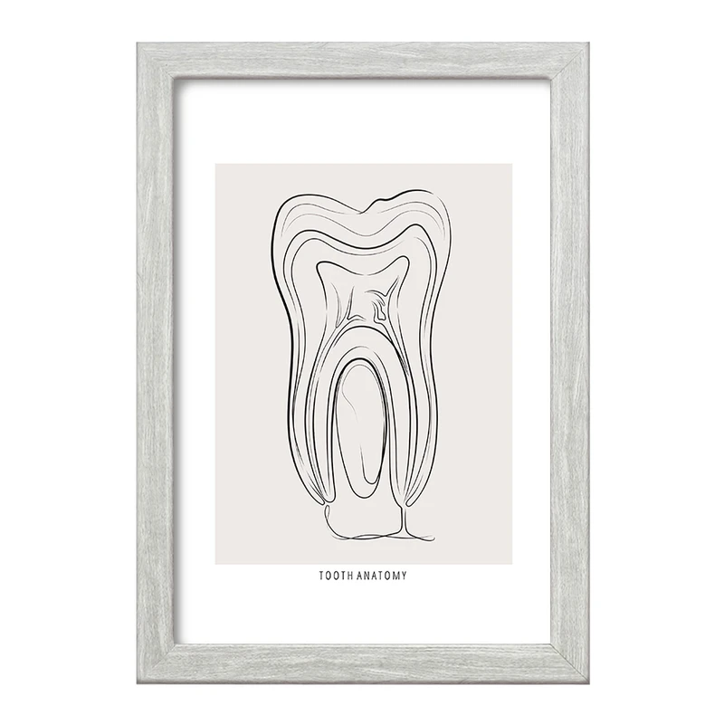 تابلو خندالو طرح آناتومی دندان (Tooth Anatomy) کد F13937