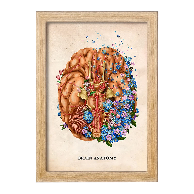 تابلو خندالو طرح آناتومی مغز (Brain Anatomy) کد F14008