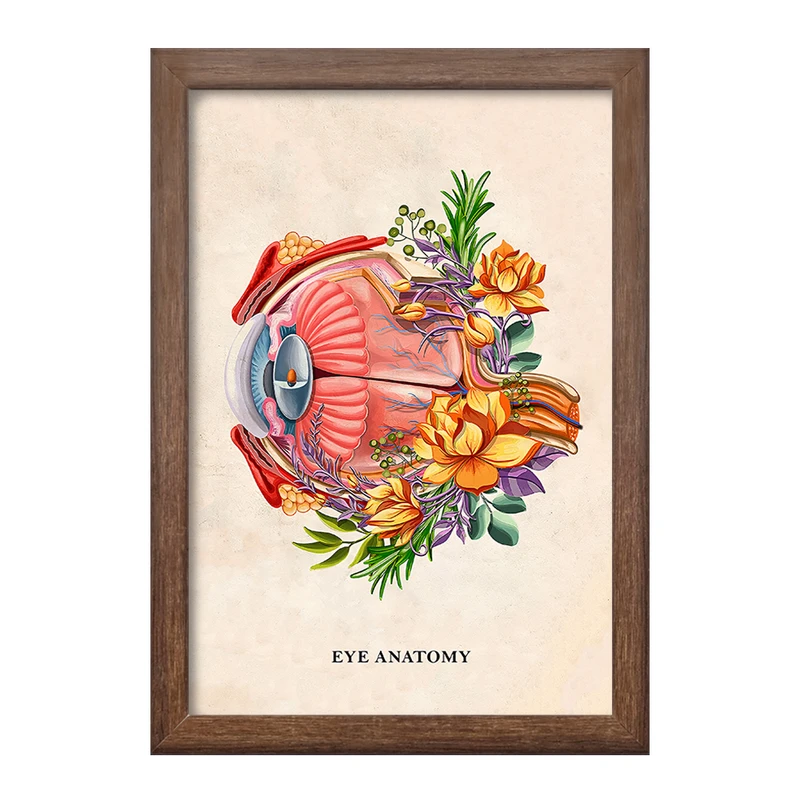 تابلو خندالو طرح آناتومی چشم (Eye Anatomy) کد F14014