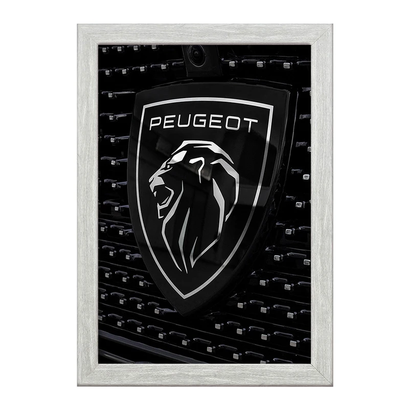 تابلو خندالو طرح پژو Peugeot  کد 23650