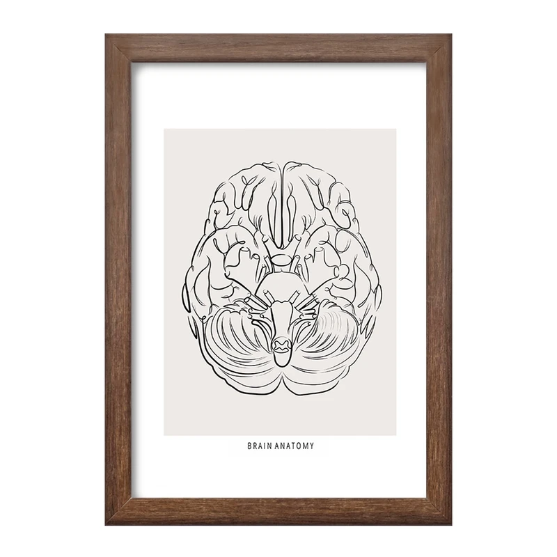 تابلو خندالو طرح آناتومی مغز (Brain Anatomy) کد F13890