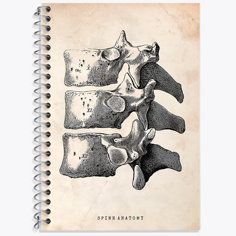 دفتر نت موسیقی 50 برگ خندالو طرح آناتومی ستون فقرات (Spine Anatomy) کد F13954