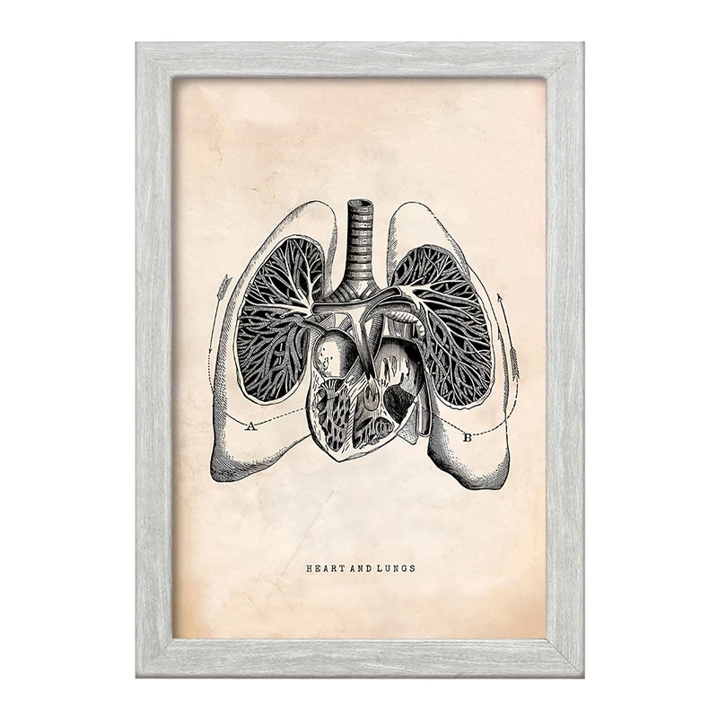 تابلو خندالو طرح آناتومی قلب (Heart Anatomy) کد F13952