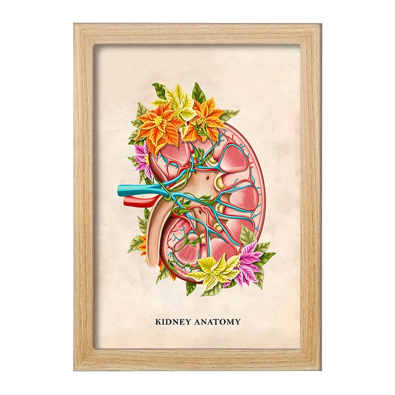 تابلو خندالو طرح آناتومی کلیه (kidney Anatomy) کد F14005