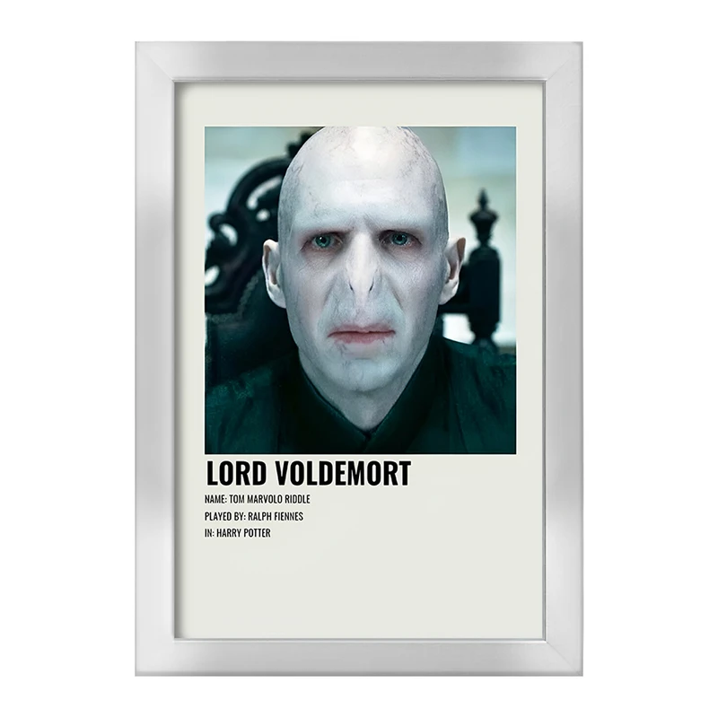 تابلو خندالو طرح لرد ولدمورت (Lord Voldemort) کد F13403