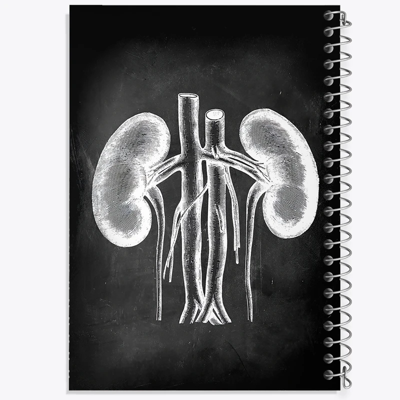 دفتر شطرنجی 50 برگ خندالو طرح آناتومی کلیه (kidney Anatomy) کد F13959