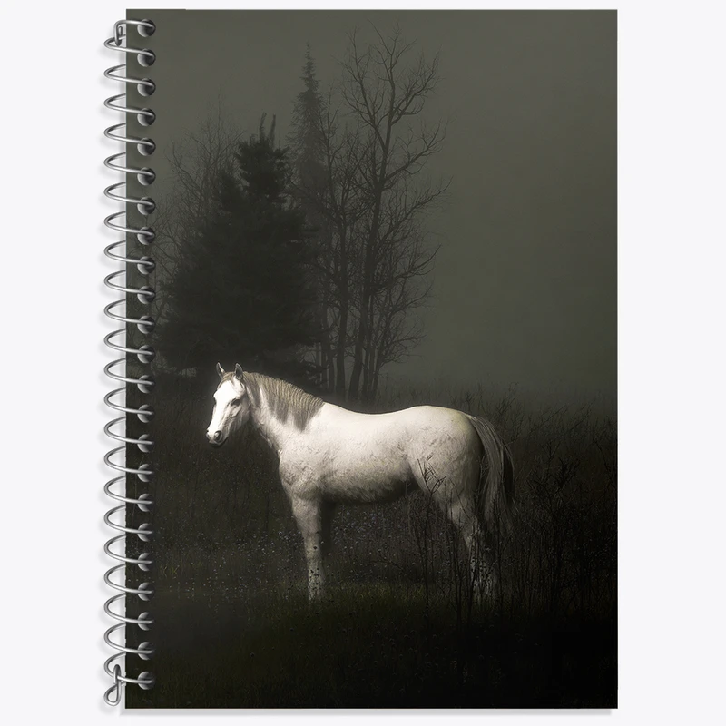 دفتر نت موسیقی 50 برگ خندالو طرح اسب زیبا کد N7928