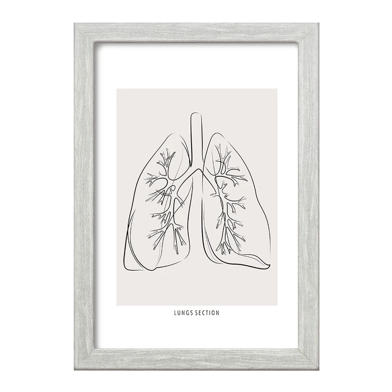 تابلو خندالو طرح آناتومی ریه ها (Lungs Anatomy) کد F13899