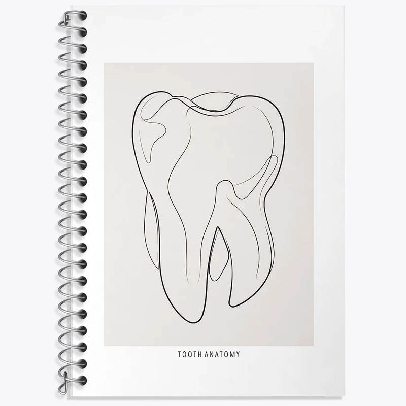 دفتر لغت 50 برگ خندالو طرح آناتومی دندان (Tooth Anatomy) کد F13936