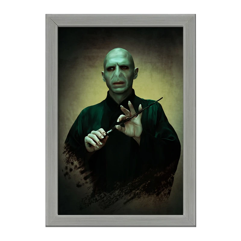 تابلو خندالو طرح هری پاتر (Harry Potter) کد F849