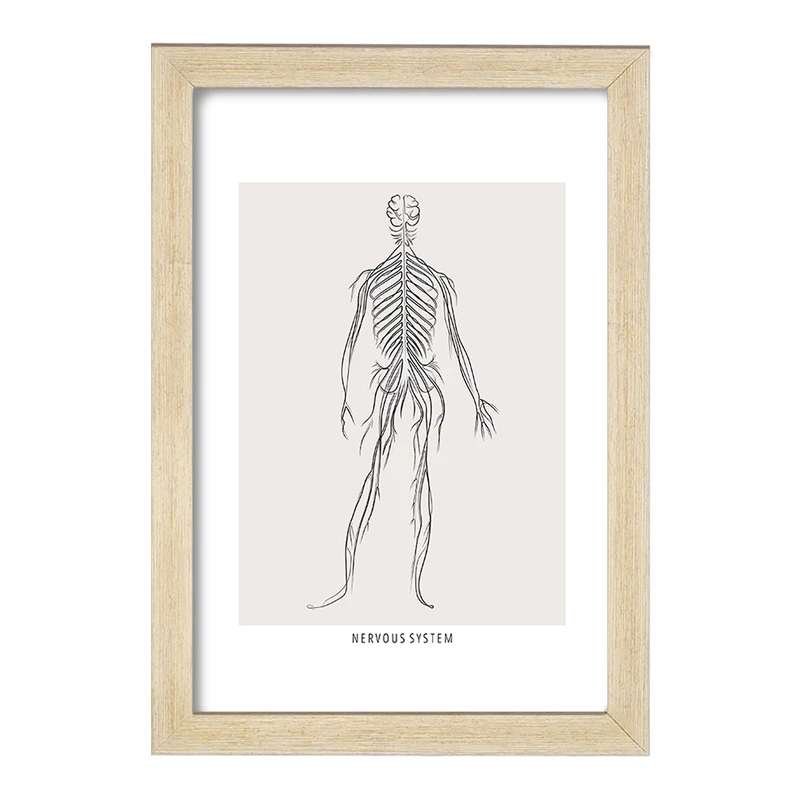 تابلو خندالو طرح سیستم عصبی (Nervous System) کد F13922