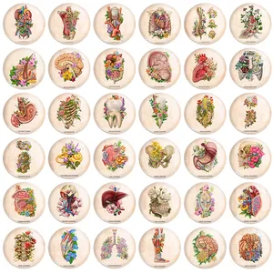 پیکسل خندالو طرح آناتومی اعضای بدن انسان کد 190 مدل بزرگ مجموعه 36 عددی