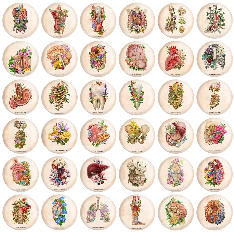 پیکسل خندالو طرح آناتومی اعضای بدن انسان کد 190 مدل بزرگ مجموعه 36 عددی