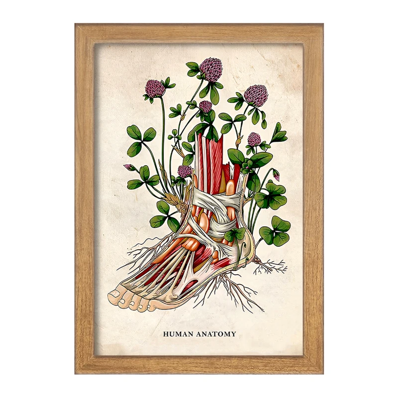 تابلو خندالو طرح آناتومی پا (Foot Anatomy) کد F13968