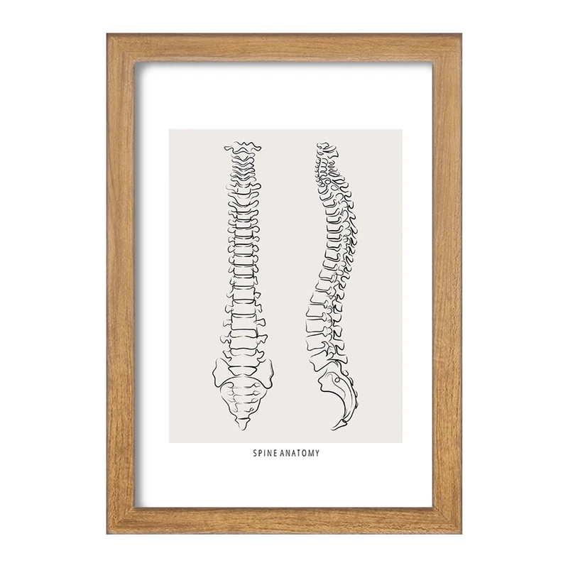 تابلو خندالو طرح آناتومی ستون فقرات (Spine Anatomy) کد F13909