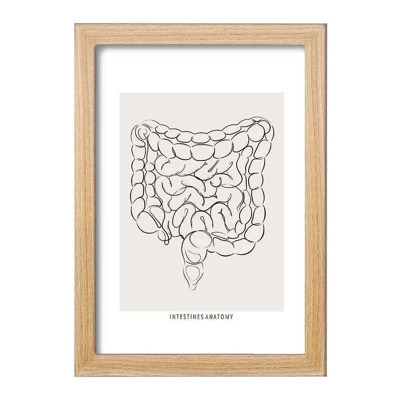تابلو خندالو طرح آناتومی روده (Intestines Anatomy) کد F13933