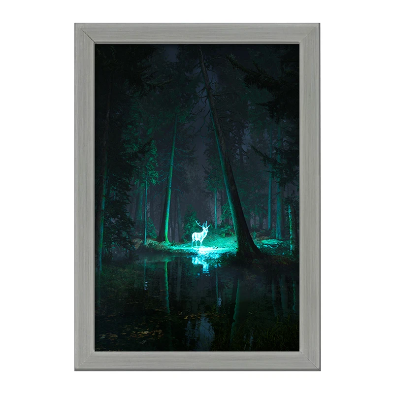 تابلو خندالو طرح هری پاتر (Harry Potter) کد F862