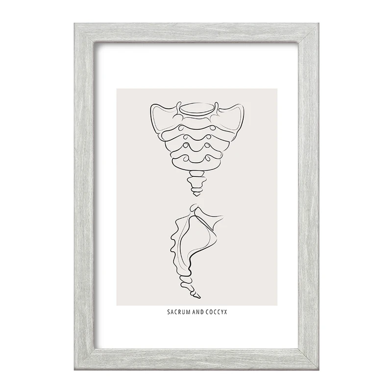 تابلو خندالو طرح آناتومی استخوان خاجی (Sacrum And Coccyx Anatomy) کد F13918