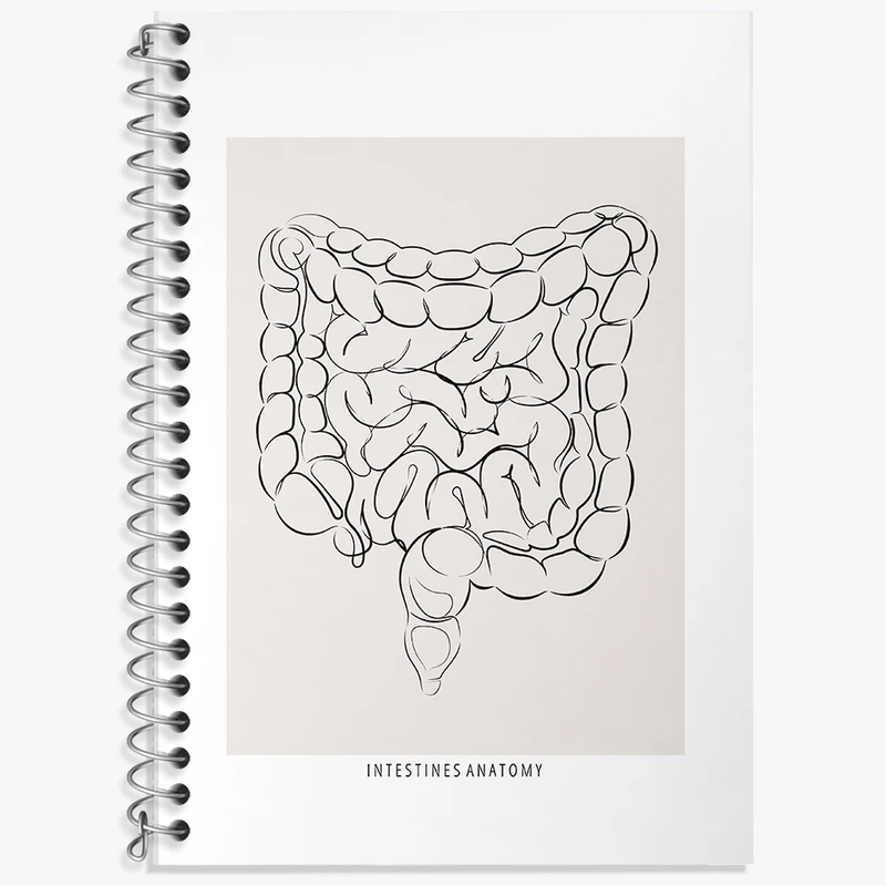 دفتر زبان 50 برگ خندالو مدل دو خط طرح آناتومی روده (Intestines Anatomy) کد F13933
