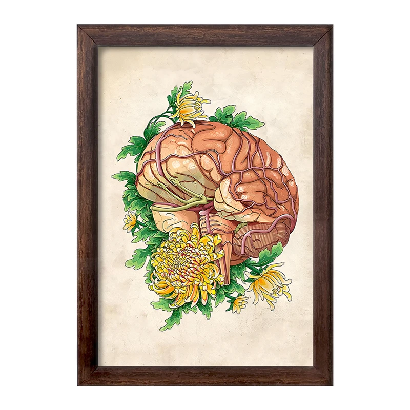 تابلو خندالو طرح آناتومی مغز (Brain Anatomy) کد F13997