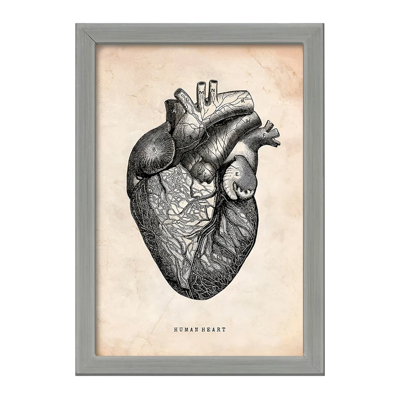 تابلو خندالو طرح آناتومی قلب (Heart Anatomy) کد F13941