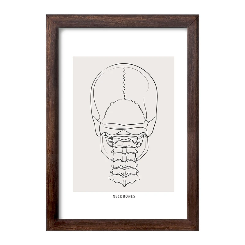 تابلو خندالو طرح آناتومی اسکلت سر از پشت کد F13895