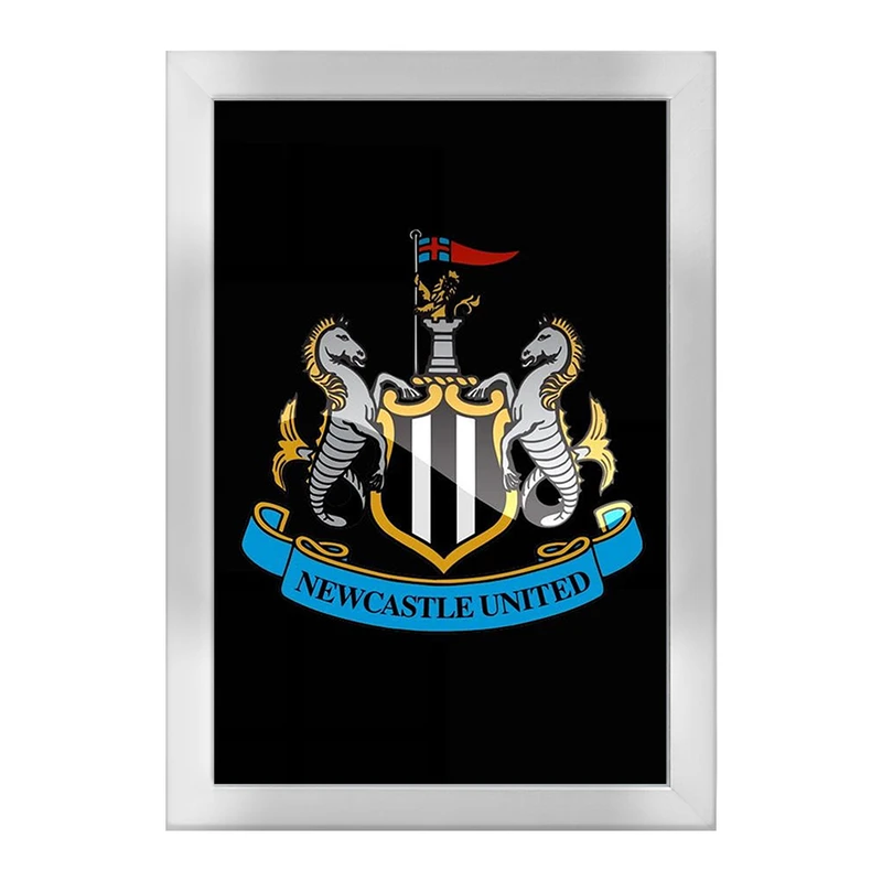 تابلو خندالو طرح باشگاه نیوکاسل کد 27664