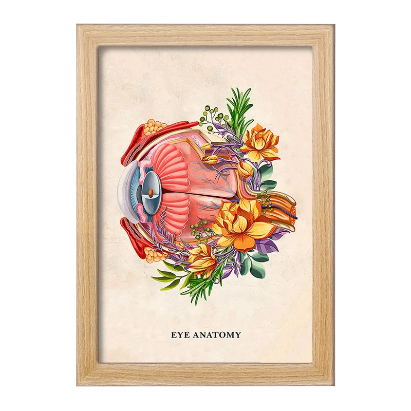 تابلو خندالو طرح آناتومی چشم (Eye Anatomy) کد F14014