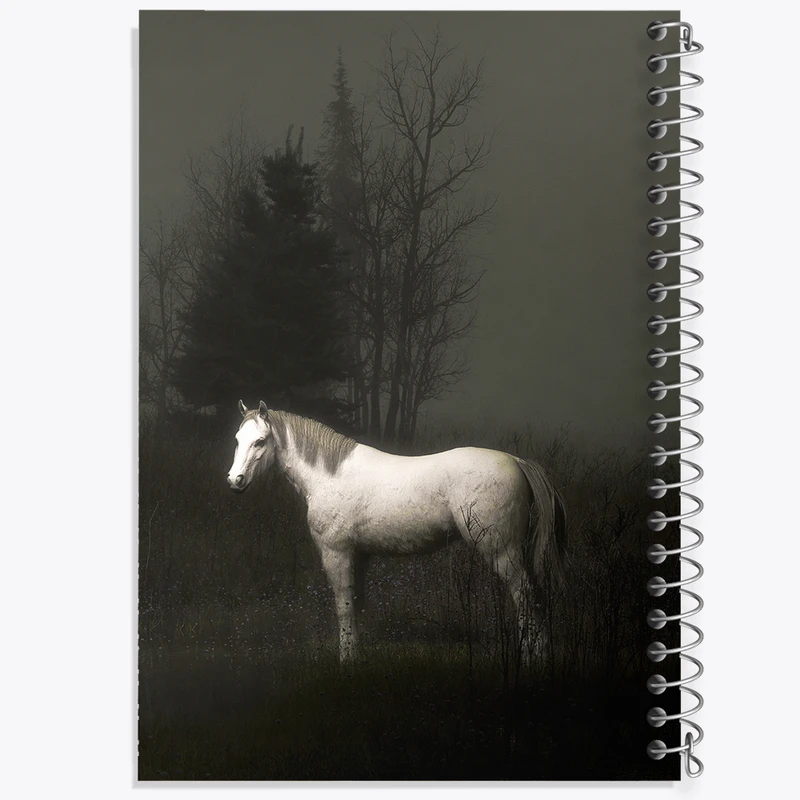 دفتر نقاشی 50 برگ خندالو طرح اسب زیبا کد N7928