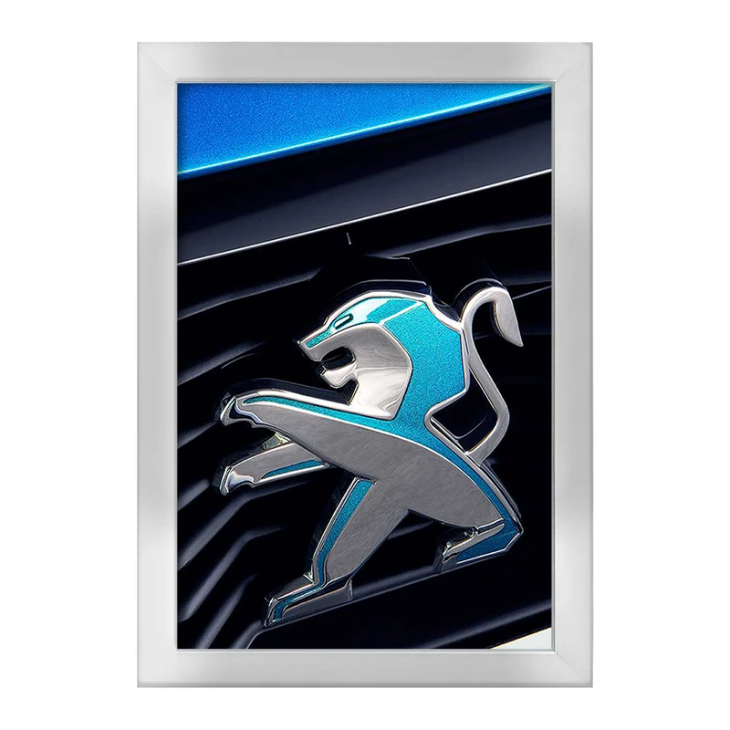 تابلو خندالو طرح پژو Peugeot  کد 23653