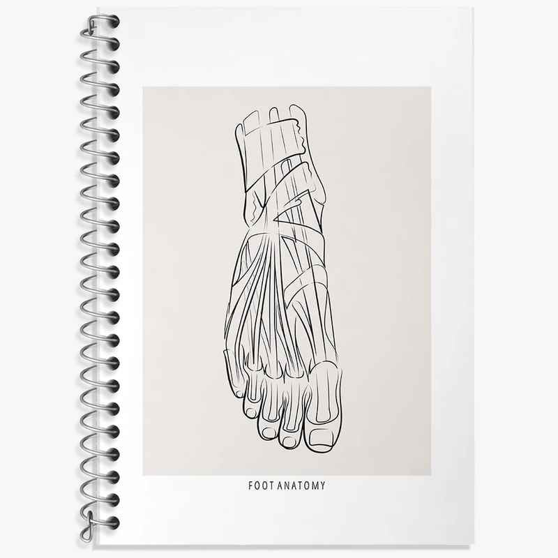 دفتر زبان 50 برگ خندالو مدل دو خط طرح آناتومی پا (Foot Anatomy) کد F13924