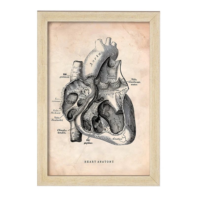 تابلو خندالو طرح آناتومی قلب (Heart Anatomy) کد F13943