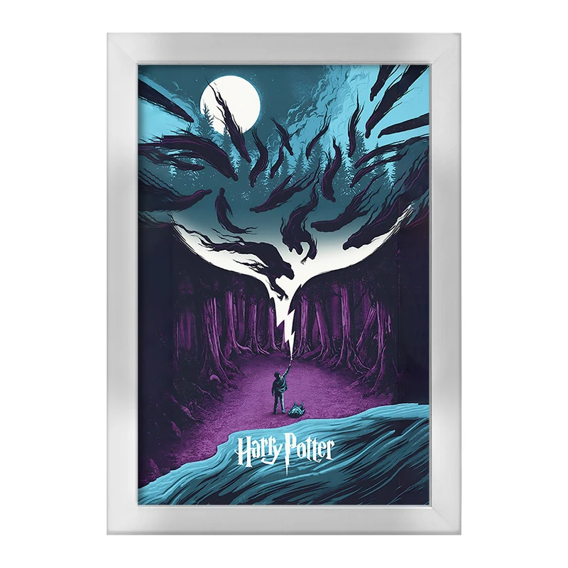 تابلو خندالو طرح هری پاتر (Harry Potter) کد F4447