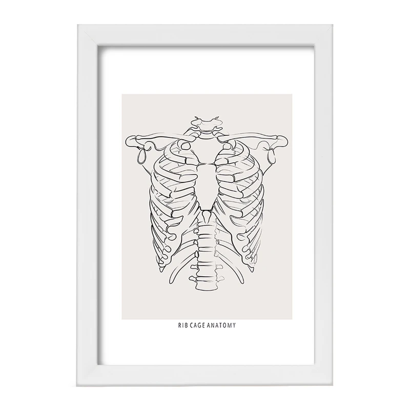 تابلو خندالو طرح آناتومی قفسه سینه (Rib Cage Anatomy) کد F13920