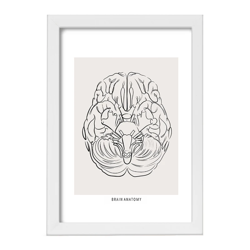 تابلو خندالو طرح آناتومی مغز (Brain Anatomy) کد F13890