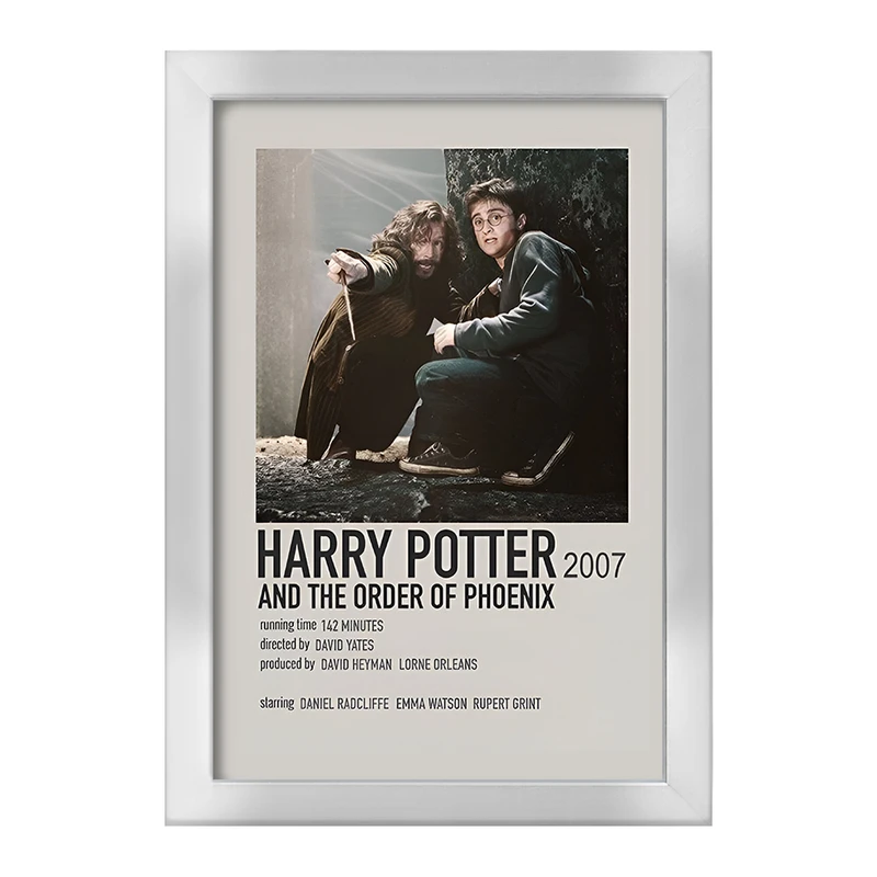 تابلو خندالو طرح هری پاتر (Harry Potter) کد F13406