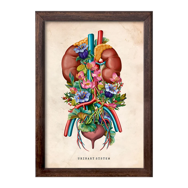 تابلو خندالو طرح سیستم ادراری (Urinary System) کد F13963