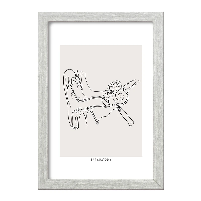 تابلو خندالو طرح آناتومی گوش (Ear Anatomy) کد F13932