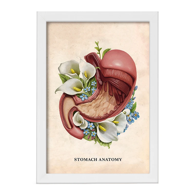 تابلو خندالو طرح آناتومی معده (Stomach Anatomy) کد F14009