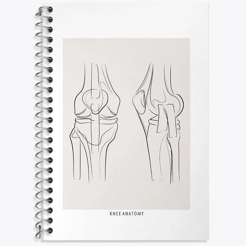 دفتر لغت 50 برگ خندالو طرح آناتومی زانو (knee Anatomy) کد F13916