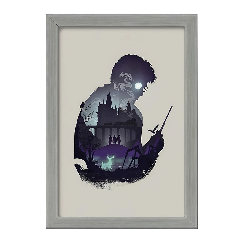 تابلو خندالو طرح هری پاتر (Harry Potter) کد F4446