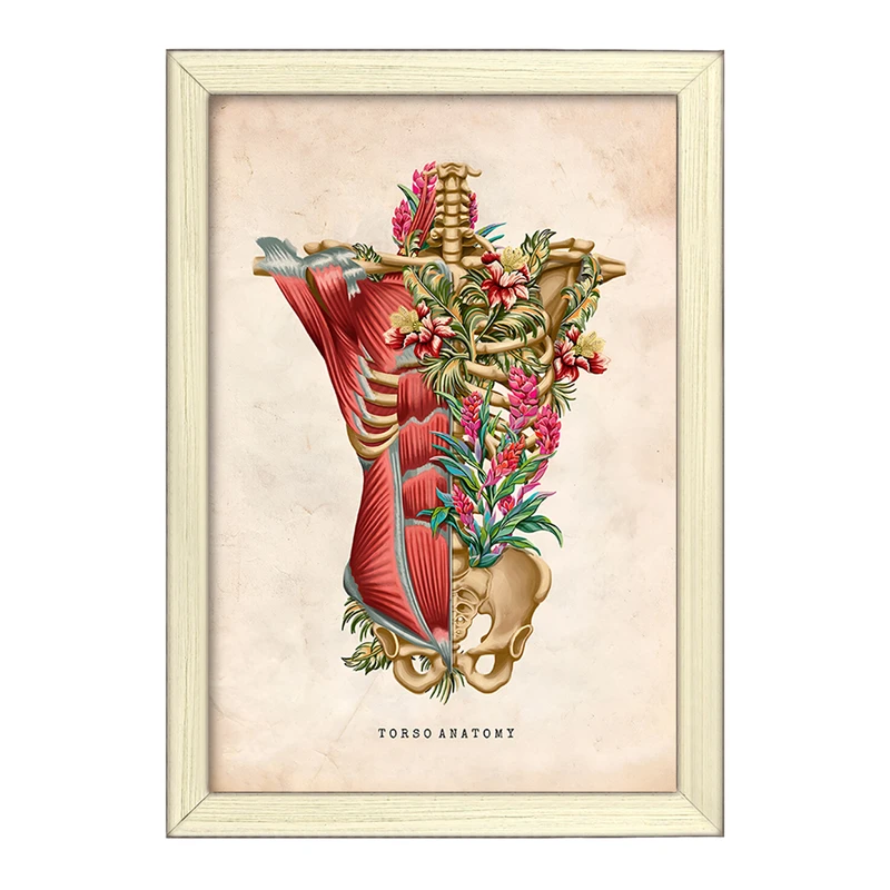 تابلو خندالو طرح آناتومی تروسو (Troso System) کد F13964