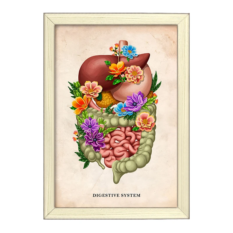 تابلو خندالو طرح سیستم گوارش (Digestive System) کد F13971