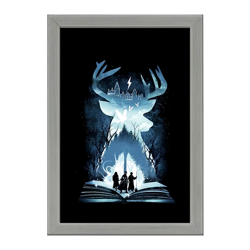 تابلو خندالو طرح هری پاتر (Harry Potter) کد F4448