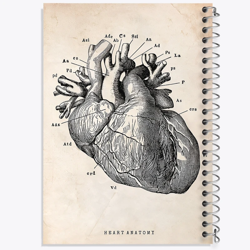 دفتر طراحی 50 برگ خندالو طرح آناتومی قلب (Heart Anatomy) کد F13942