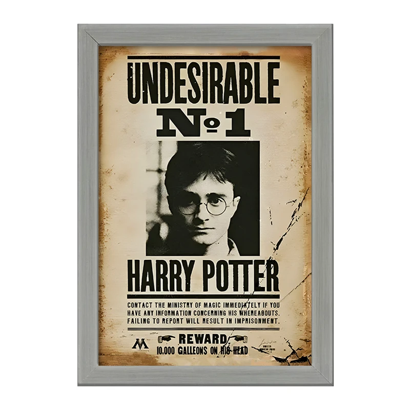 تابلو خندالو طرح هری پاتر (Harry Potter) کد F8656
