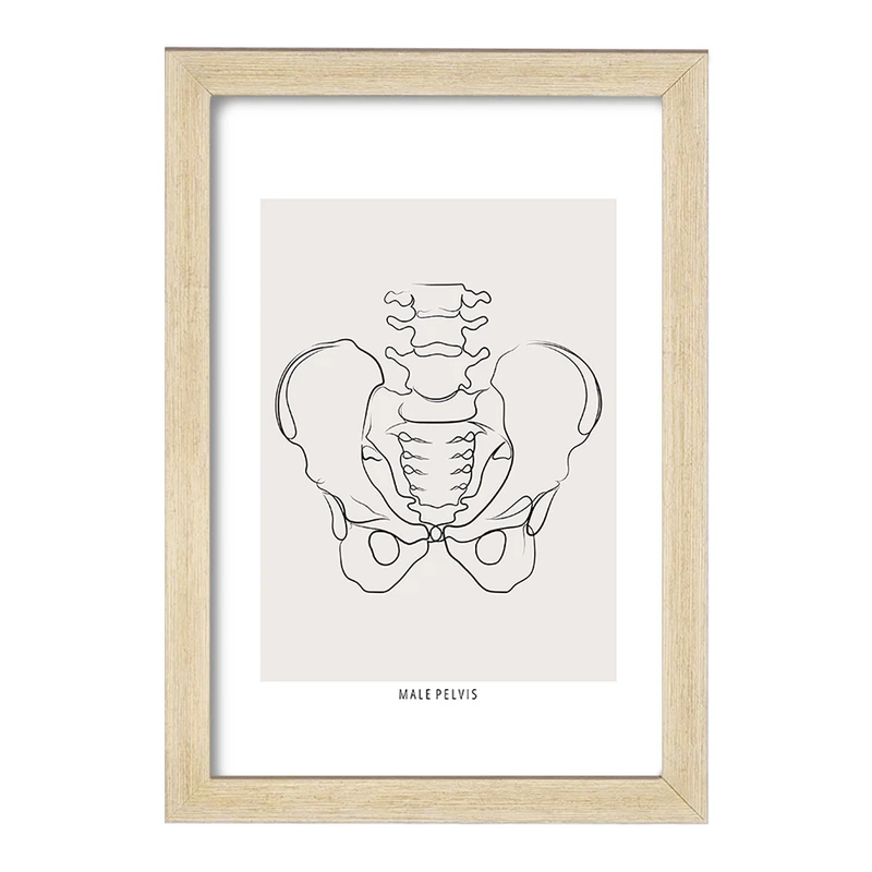 تابلو خندالو طرح آناتومی لگن (Pelvis Anatomy) کد F13912