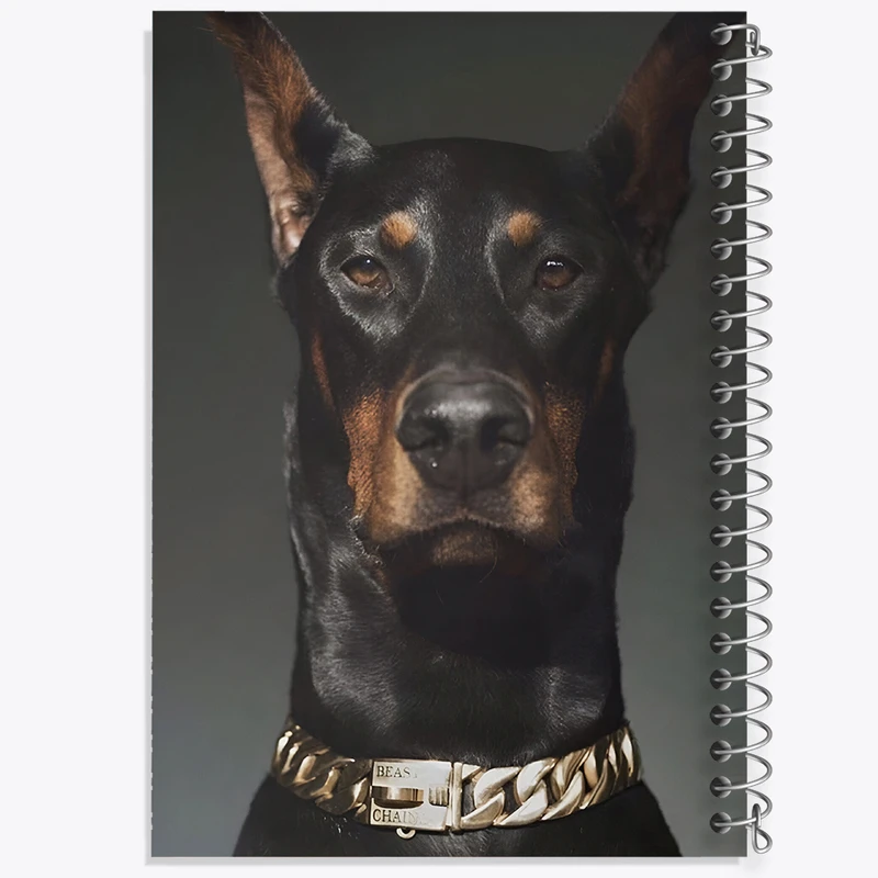 دفتر نقاشی 50 برگ خندالو طرح سگ دوبرمن (Dobermann) کد F13638